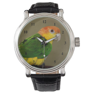 Reloj De Pulsera Hermoso loro caique blanco belmentado posando