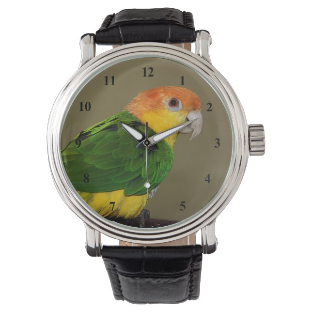 Reloj De Pulsera Hermoso loro caique blanco con vientre (Anverso)