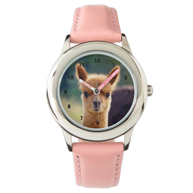 Reloj De Pulsera Hermoso observatorio de la Alpaca Bebé (Anverso)