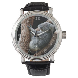 Reloj De Pulsera Hermoso oso Koala en un árbol