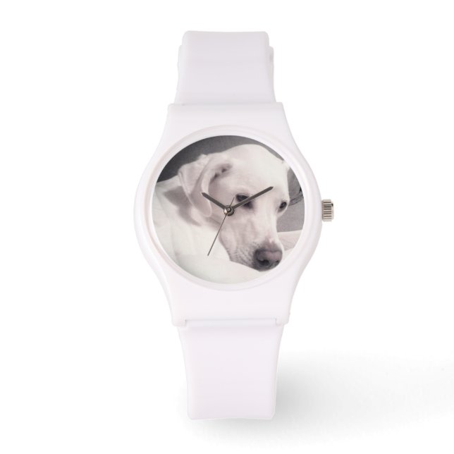 Reloj De Pulsera Hermoso Regal White Labrador Mix Dog Watch (Anverso)