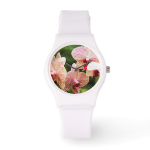 Reloj De Pulsera Híbrido de orquídea naranja, Sudáfrica