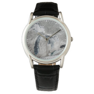Reloj De Pulsera Hielo En Los Grandes Lagos, Estados Unidos.