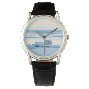 Reloj De Pulsera Hielo y nieve Polar Bear Iceberg Noruega