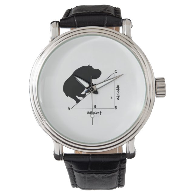 Reloj De Pulsera Hippotenusa (Anverso)