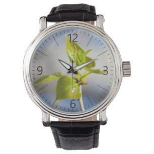 Reloj De Pulsera Hojas jóvenes