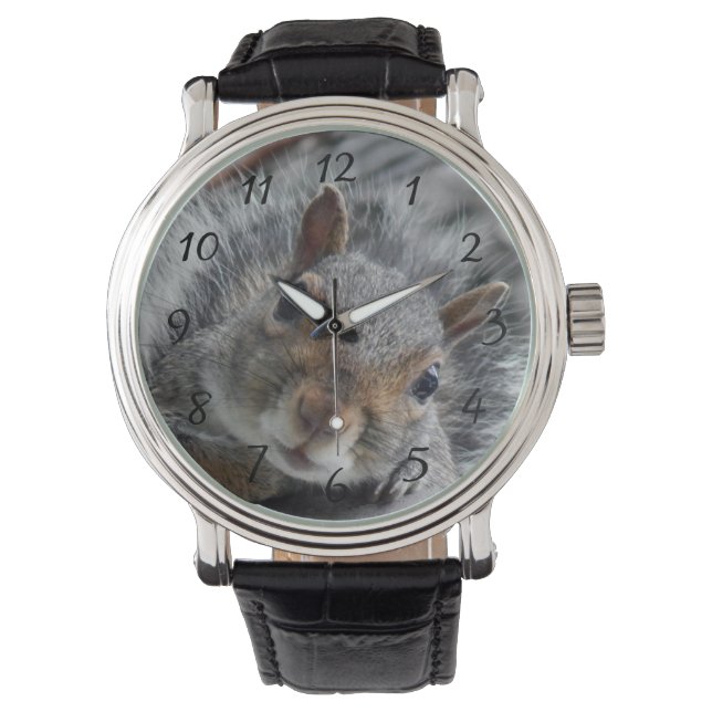 Reloj De Pulsera Hola Miss ardilla (Anverso)