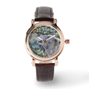 Reloj De Pulsera Hollín de lobo blanco en el Ártico en observación