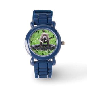 Reloj De Pulsera Hombre Adulto Staffordshire Terrier Listo Para Jug