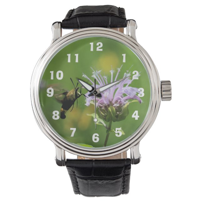 Reloj De Pulsera Hummingbird Moth (Anverso)