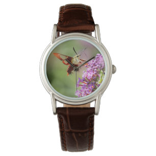 Reloj De Pulsera Hummingbird Moth en una mariposa