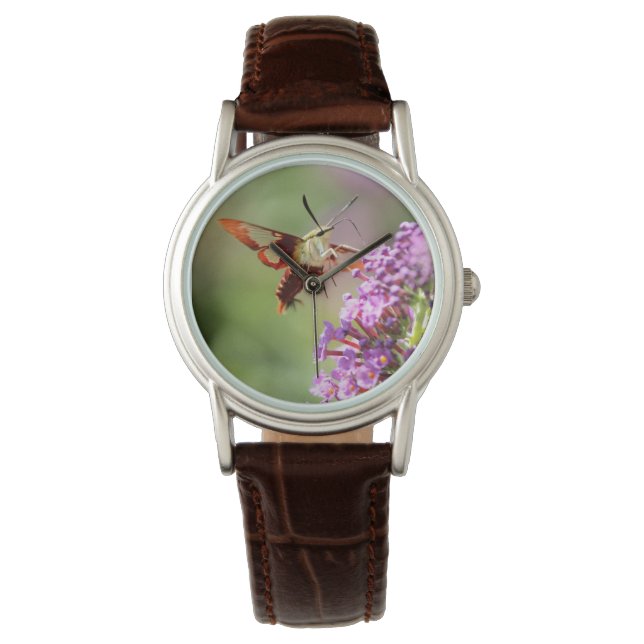 Reloj De Pulsera Hummingbird Moth en una mariposa (Anverso)