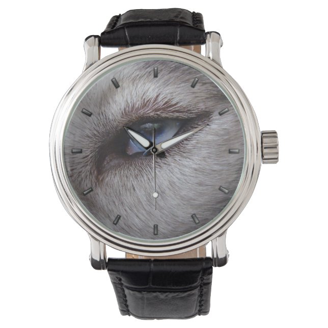 Reloj De Pulsera Husky Watch Siberian Husky Malamute Writing Watch (Anverso)