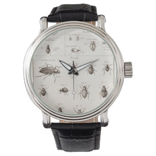 Reloj De Pulsera Ilustracion de los escarabajos de los insectos de