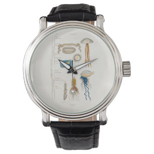Reloj De Pulsera Ilustracion de medusas del siglo XIX - Pescado gel