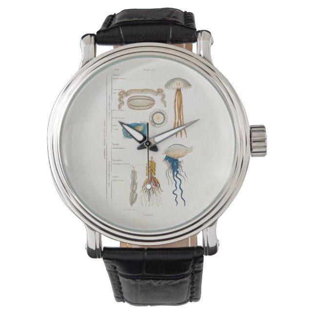 Reloj De Pulsera Ilustracion de medusas del siglo XIX - Pescado gel (Anverso)