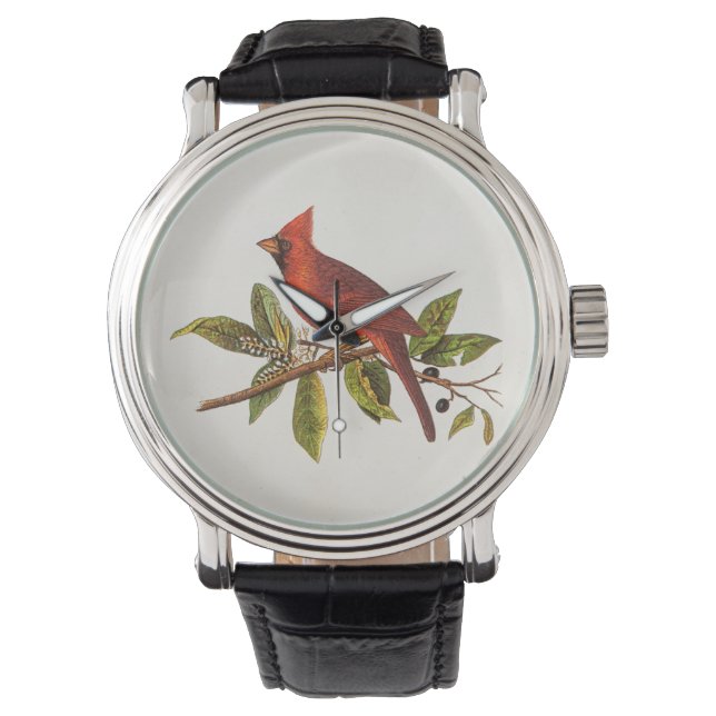 Reloj De Pulsera Ilustracion de pájaro de la canción del cardenal v (Anverso)