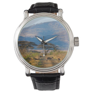 Reloj De Pulsera Impala (Aepyceros Melampus), Hluhluwe-Umfolozi