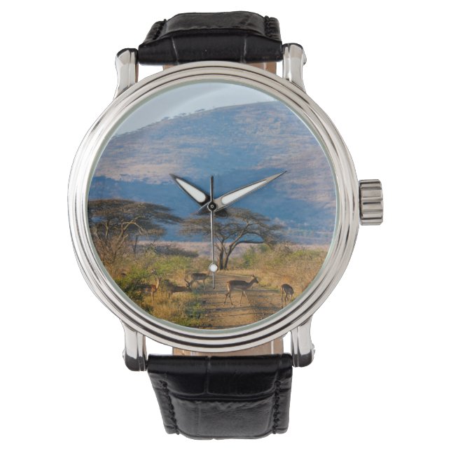 Reloj De Pulsera Impala (Aepyceros Melampus), Hluhluwe-Umfolozi (Anverso)