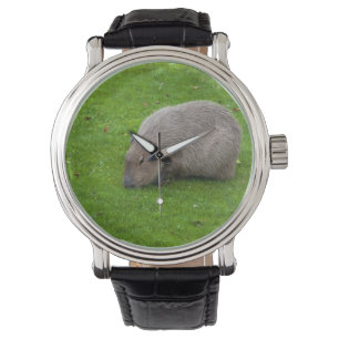 Reloj De Pulsera Increíble Animal Carpincho