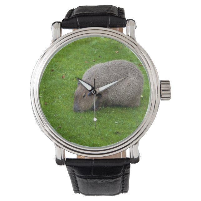 Reloj De Pulsera Increíble Animal Carpincho (Anverso)