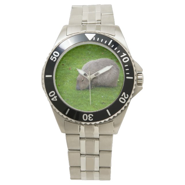 Reloj De Pulsera Increíble Animal Carpincho (Anverso)