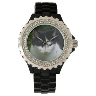 Reloj De Pulsera Inspección de gatos
