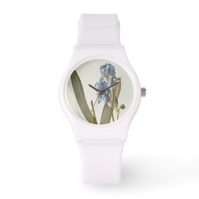 Reloj De Pulsera Iris Pallida, de "Les Liliacees", 1812 (Anverso)