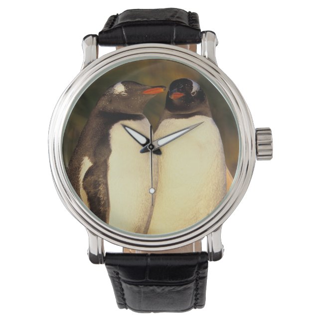 Reloj De Pulsera Islas Malvinas. Pingüinos Gentoo. (Pyroscelis (Anverso)