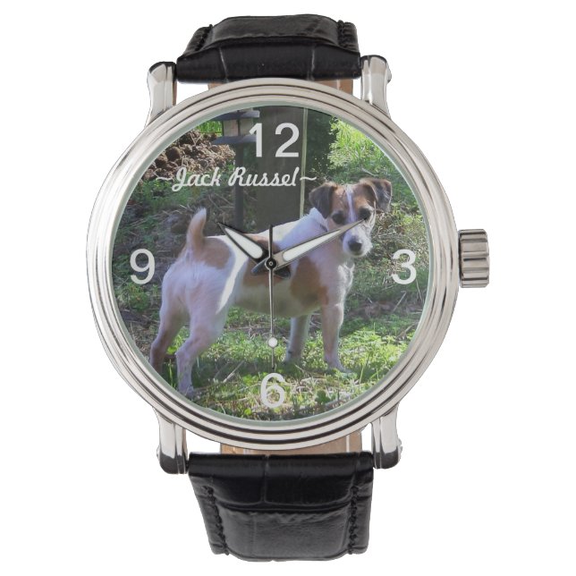 Reloj De Pulsera Jack Russel Dog Watch (Anverso)