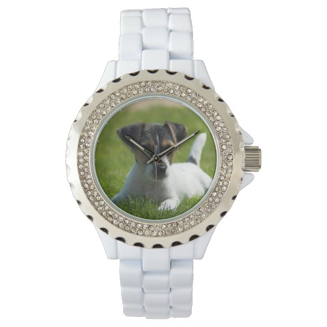 Reloj De Pulsera Jack Russel Puppy (Anverso)