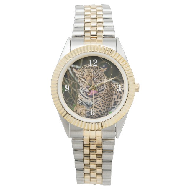 Reloj De Pulsera Jaguar (Anverso)