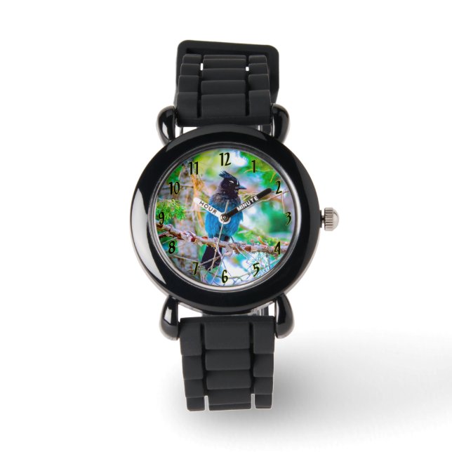 Reloj De Pulsera Jay de Steller - Fotografía original (Anverso)