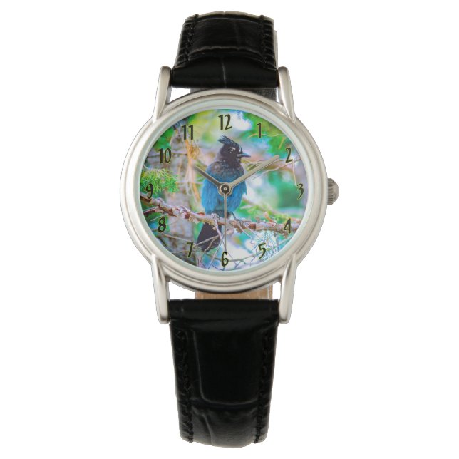 Reloj De Pulsera Jay de Steller - Fotografía original (Anverso)
