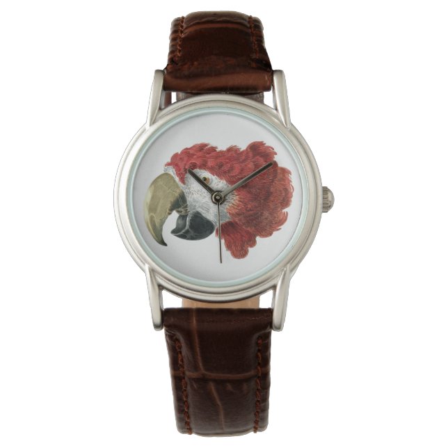 Reloj De Pulsera Jefe de una Macaw (1725-1792) Aert Schouman (Anverso)
