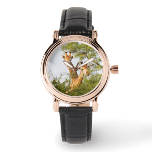 Reloj De Pulsera jirafas que buscan sobre la vegetación