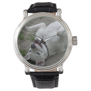 Reloj De Pulsera Jugando Dogo Argentino