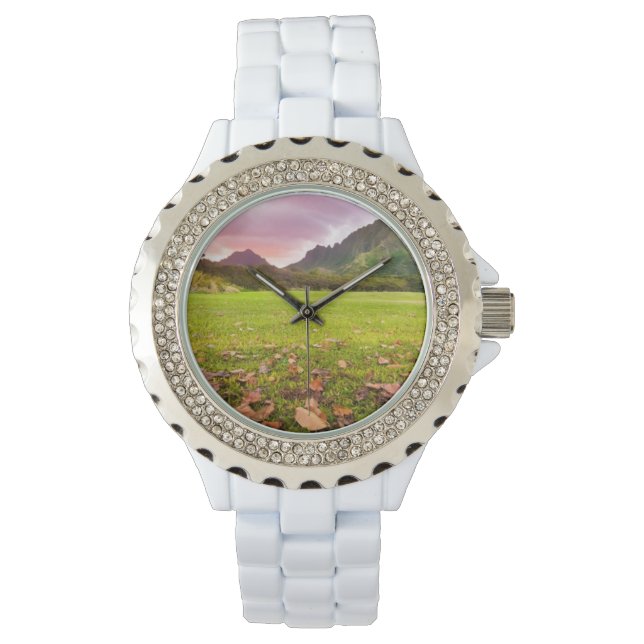Reloj De Pulsera Jurásico Sunset (Anverso)