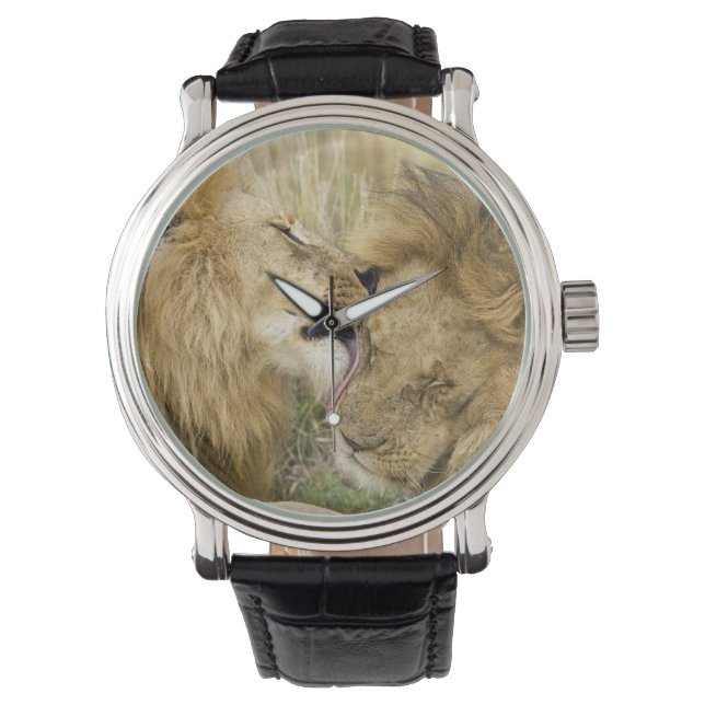 Reloj De Pulsera Kenia, Masai Mara (Anverso)