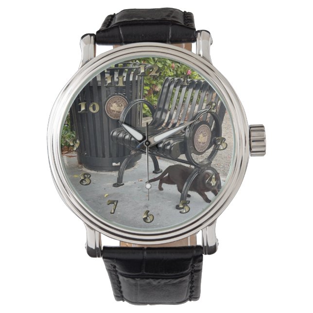 Reloj De Pulsera Kitty en el parque (Anverso)