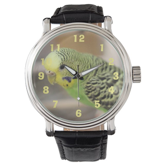 Reloj De Pulsera Kiwi (Anverso)