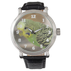 Reloj De Pulsera Kiwi