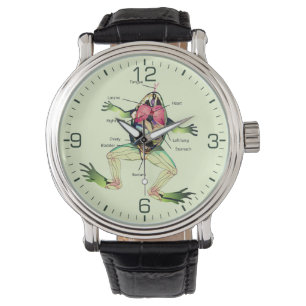 Reloj De Pulsera La anatomía de la rana