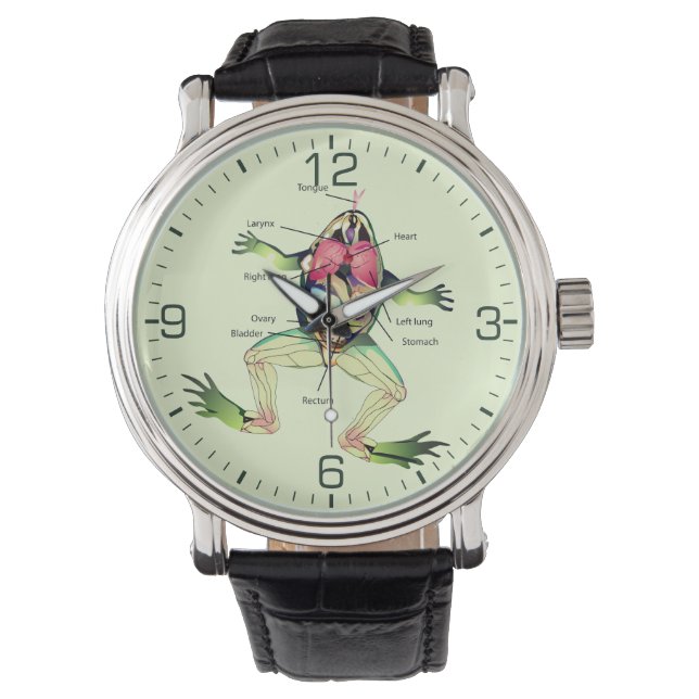 Reloj De Pulsera La anatomía de la rana (Anverso)