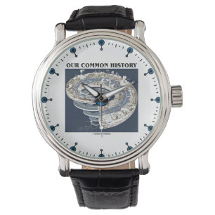 Reloj De Pulsera La cronología geológica de nuestra tierra común