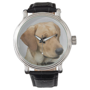 Reloj De Pulsera Labrador retriever amarillo