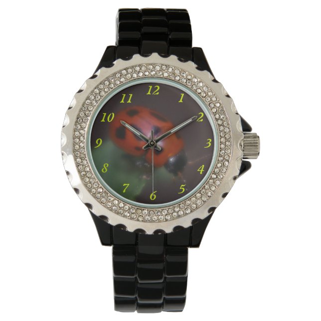 Reloj De Pulsera Ladybug en Flores (Anverso)