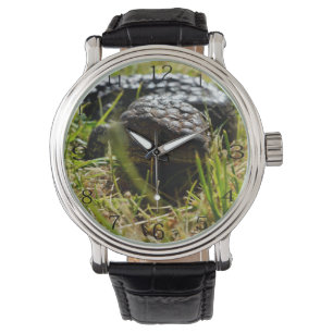 Reloj De Pulsera Lagarto australiano (Stumpy)   