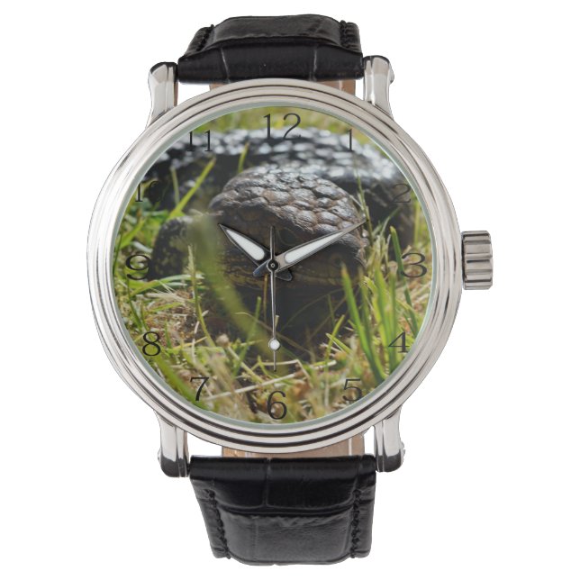 Reloj De Pulsera Lagarto australiano (Stumpy)    (Anverso)