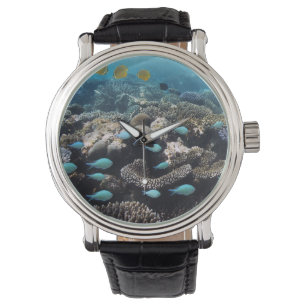 Reloj De Pulsera Laguna tropical   Atolón de Ari Sur